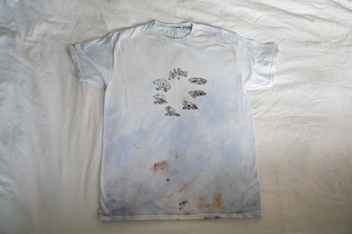 size M life cycle of a frog tee