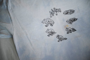 size M life cycle of a frog tee