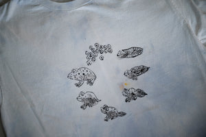 size M life cycle of a frog tee