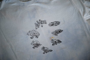 size M life cycle of a frog tee